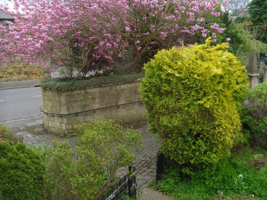 The Old Vicarage Bed & Breakfast Белфърд Екстериор снимка